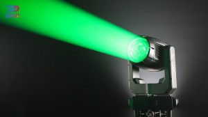 Beyond 100BW Lighting Show Green