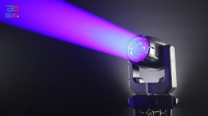 Beyond 100BW Lighting Show Purple