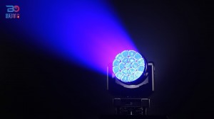 Beyond 1960Z-7 Lighting Effect-3