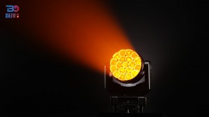 Beyond 1960Z-7 Lighting Effect-5