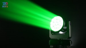 Beyond 1960ZW-4 Lighting Show Green-1