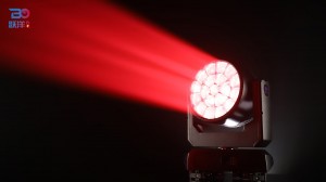 Beyond 1960ZW-4 Lighting Show Red-1