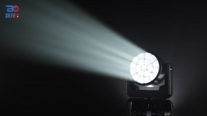 Beyond 1960ZW-4 Lighting Show White-1