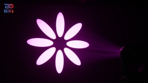 Beyond MC13IP  Lighting Show-22